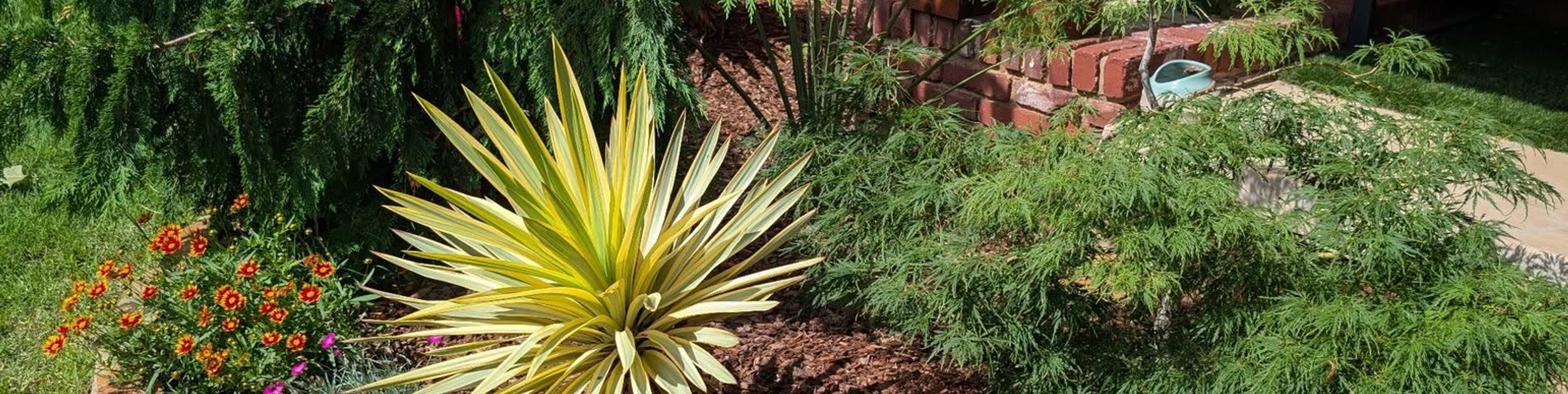 Front yard landscape beds installed by New Nature Turf & Landscape