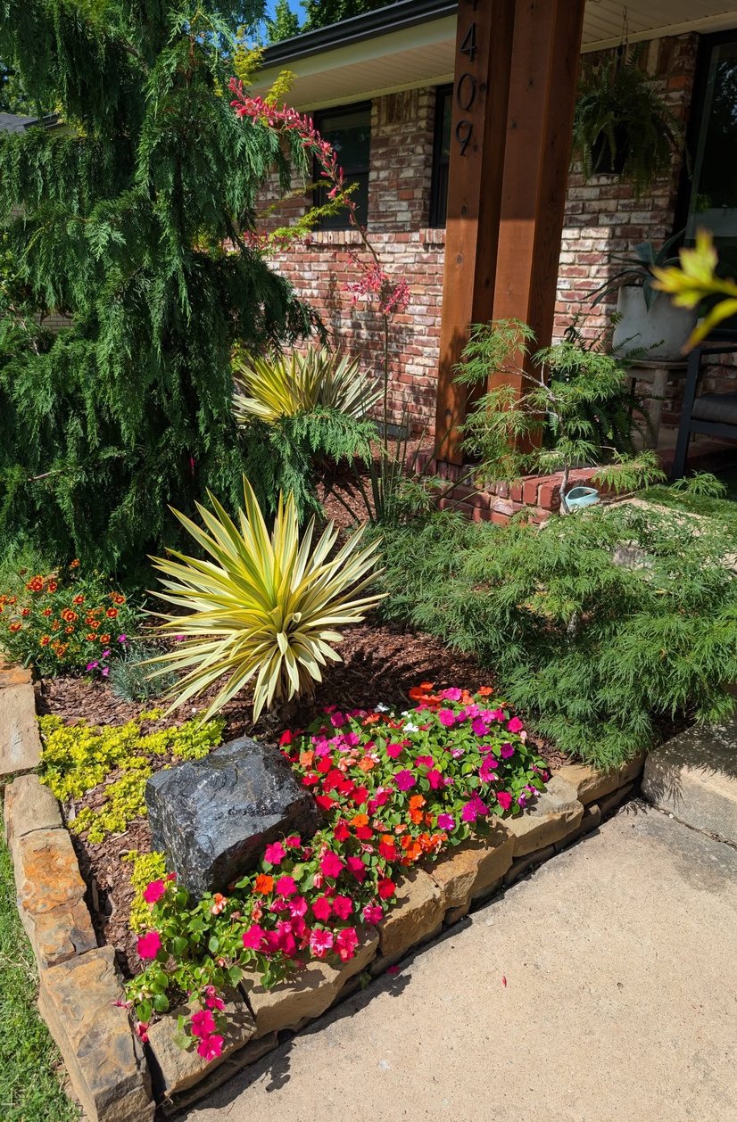 Front yard bed with a weeping evergreen, yucca, Japanese maple and bright impatiens inside a stacked stone border