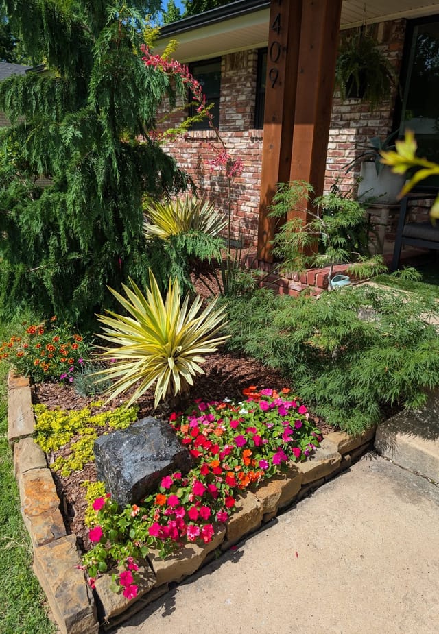 Front yard bed with a weeping evergreen, yucca, Japanese maple and bright impatiens inside a stacked stone border