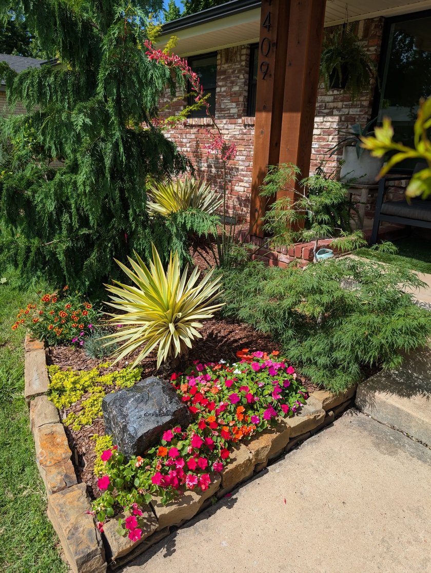 Front yard bed with a weeping evergreen, yucca, Japanese maple and bright impatiens inside a stacked stone border