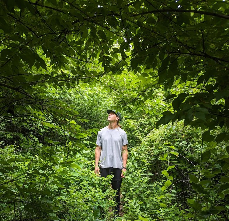 New Nature's owner standing in a dense green woodland, looking up into the tree canopy