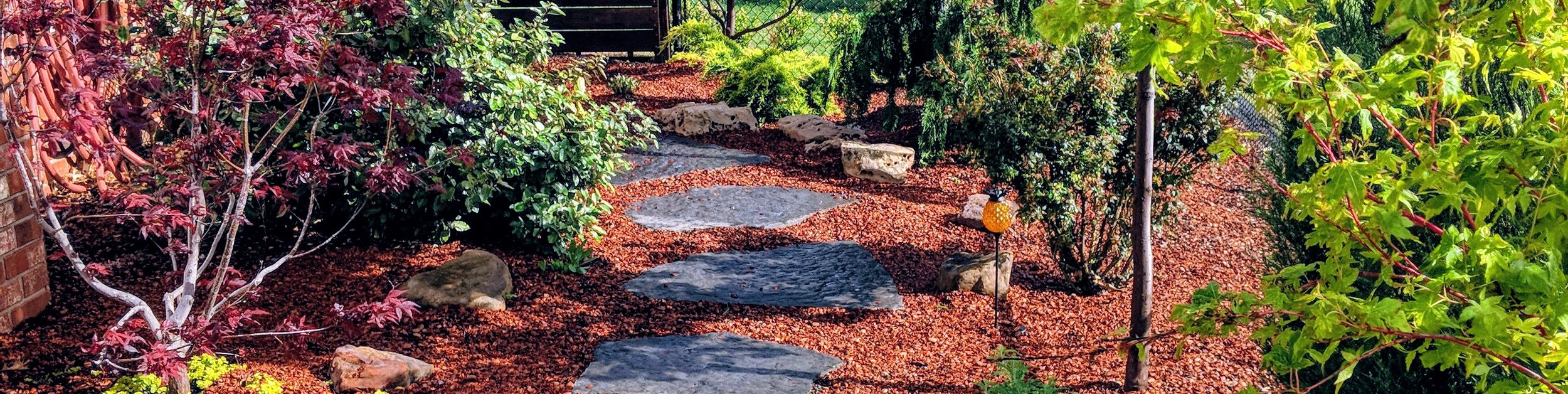Stepping stone path through red mulch beds with Japanese maples beside a flagstone patio