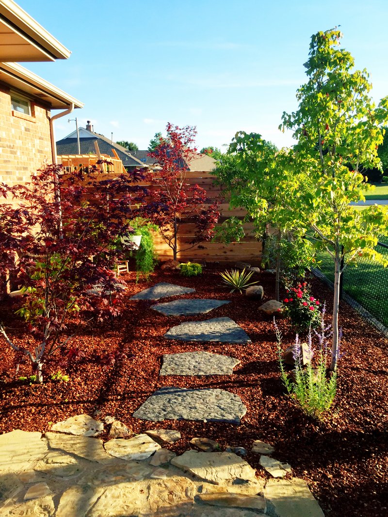 Stepping stone walkway through a mulched bed with Japanese maples beside a cedar privacy fence