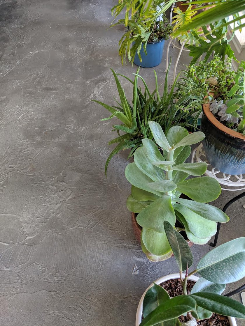 Gray textured concrete patio lined with potted plants